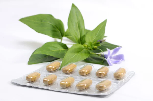 Drugs and medicines with natural plant extracts — Stock Photo, Image