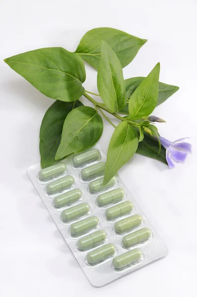 Medicamentos e medicamentos com extratos vegetais naturais — Fotografia de Stock