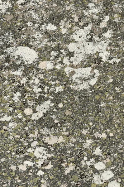 Stone granite with lichens and old surface — Stock Photo, Image