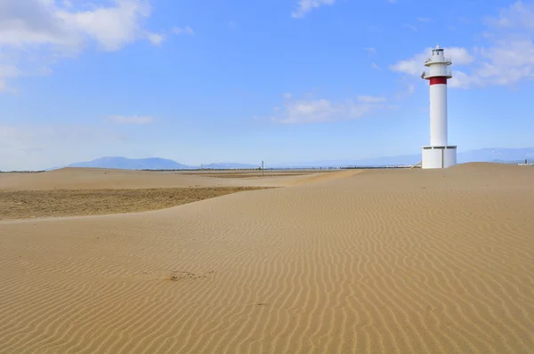 Çöl ekosistemi ebro Irmağı ' — Stok fotoğraf