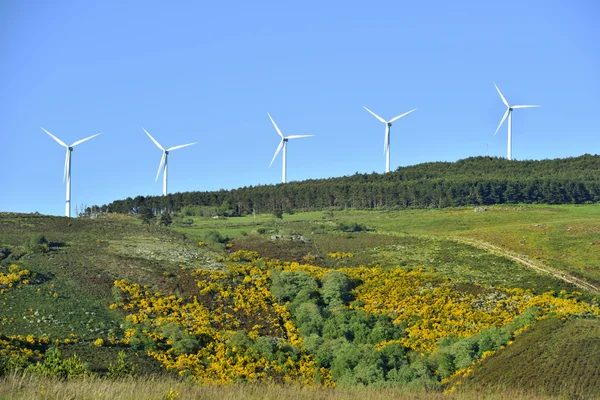 Windmills park in mountain — Stock Photo, Image