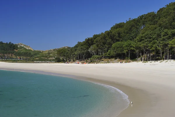 Τικές οι οποίες νησιά — Φωτογραφία Αρχείου