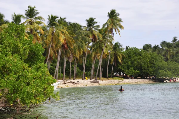 Tropical beach in Caribbean sea — Stock Photo, Image