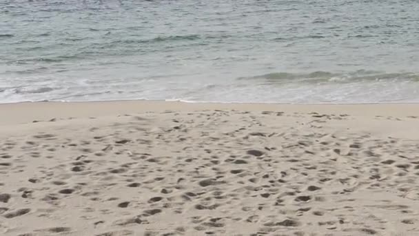 Galician beach in atlantic coast — Stock Video
