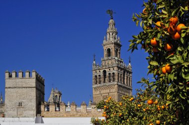The Giralda belltower and Seville Cathedral clipart
