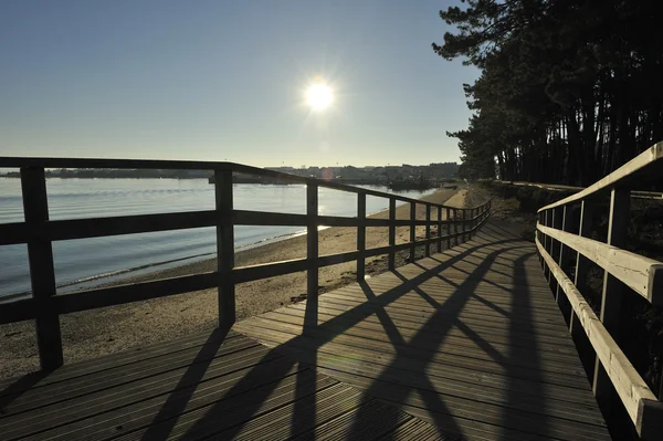 Passerella di legno alla spiaggia dell'oceano — Foto Stock