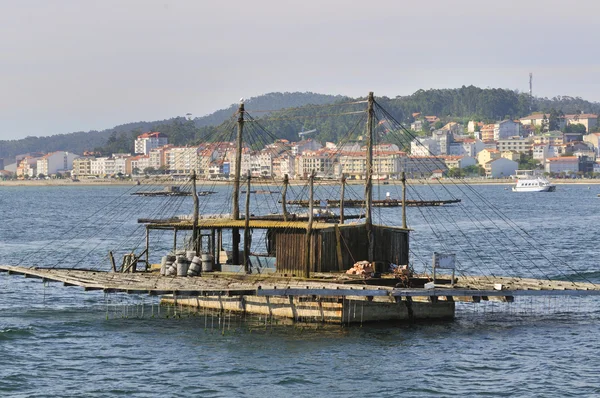 Parc aquacole typique de Bateas — Photo