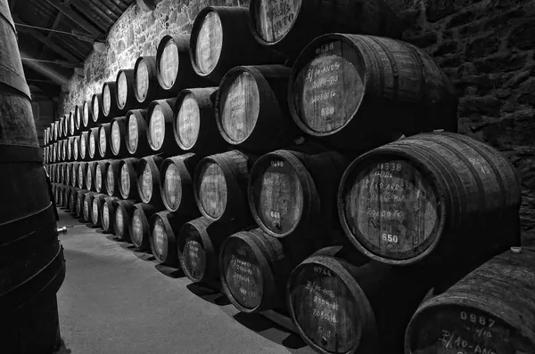 Porto wine barrels — Stock Photo, Image