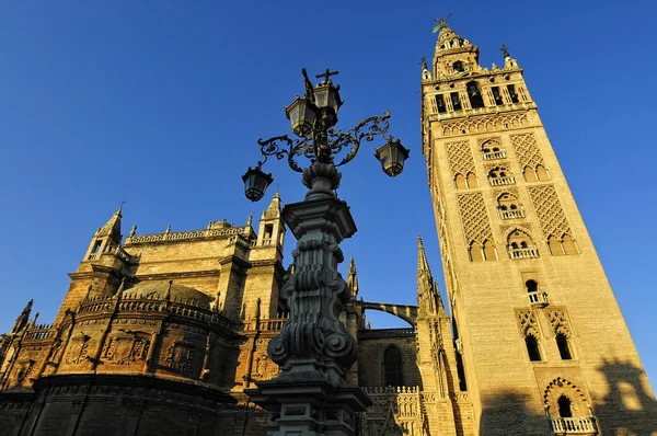 Seville cathedral and Giralda belltower monument — Stock Photo, Image