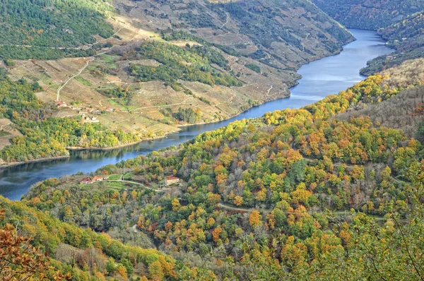 Galiçya ormandaki nehir — Stok fotoğraf