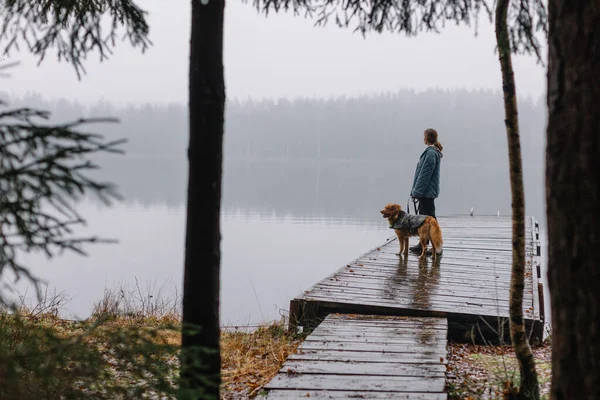 Chica Chaqueta Azul Permaneciendo Muelle Con Nova Scotia Duck Tolling — Foto de Stock