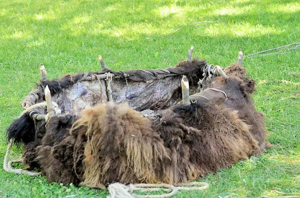 A boat made of wood and animal hides, strapped together with ropes. Shown here on grass.