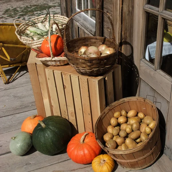 Autumn display of vegetables at country store, with some baskets set on wooden crates.
