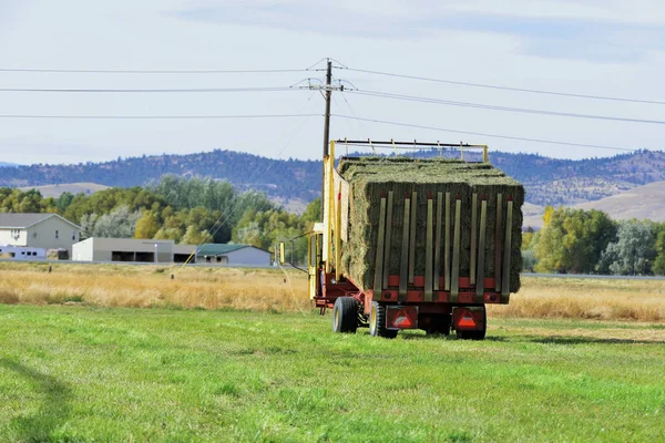 Agriculture: Full load of small square bales on hay stacker trolley.