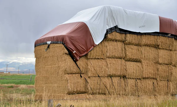 Hay storage: Large square hay bales stacked in field and protected from weather with a red and white tarp on top.