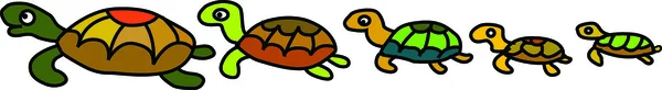 Turtles — Stock Photo, Image