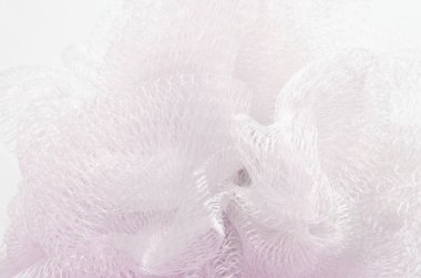 Dandelion abstract background soft card