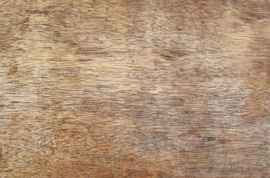 Old wooden background.  gnarled solid wood