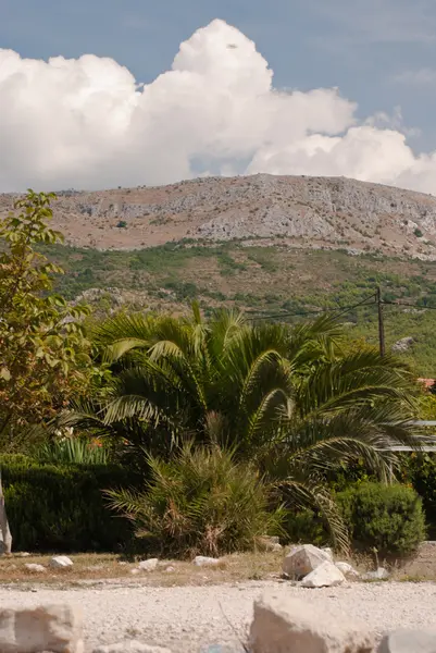 Mountains of Biokovo - National Park, Croatia — Stock Photo, Image