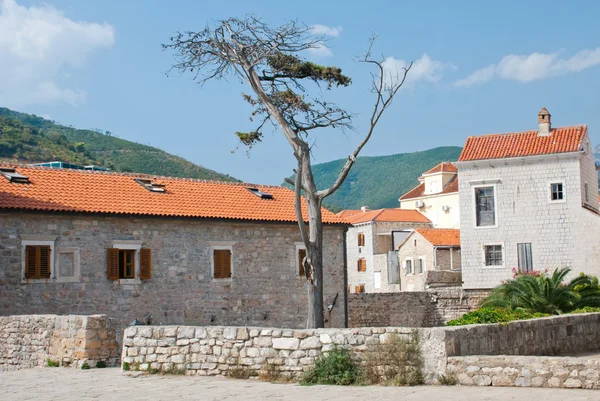 Budva, Černá Hora — Stock fotografie