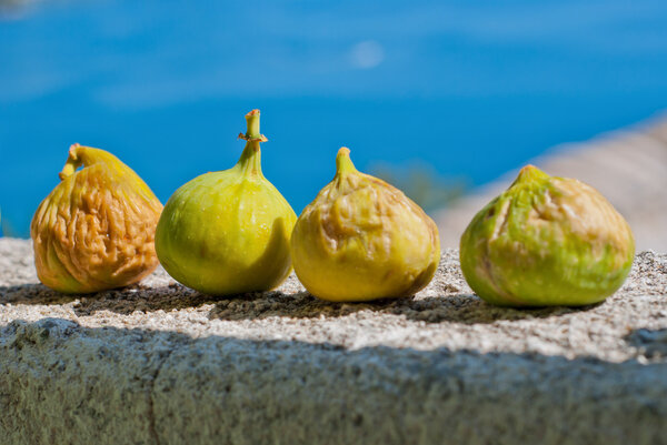 Fresh figs in the sunlight