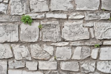 taş duvar backgrond