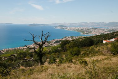 Dağıt