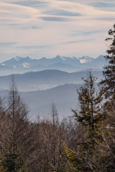 マグルカ ヒルから見たタトラ山脈の冬景色 ベスキディ スラスキー山脈 — ストック写真