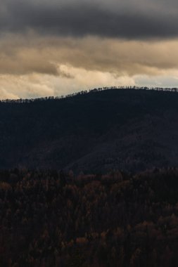 Orman siluetinin fotoğrafı. Alacakaranlıkta güzel mavi ve turuncu gökyüzü. Beskid Dağları, Polonya.