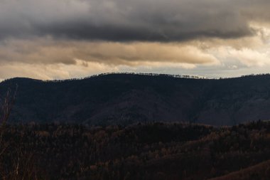 Orman siluetinin fotoğrafı. Alacakaranlıkta güzel mavi ve turuncu gökyüzü. Beskid Dağları, Polonya.