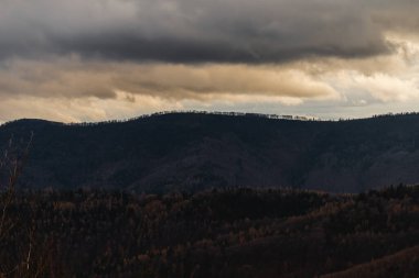 Orman siluetinin fotoğrafı. Alacakaranlıkta güzel mavi ve turuncu gökyüzü. Beskid Dağları, Polonya.