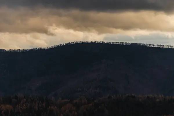 夕暮れ時に美しい青とオレンジの空と森のシルエットの写真 ポーランドのベスキディ山脈 — ストック写真