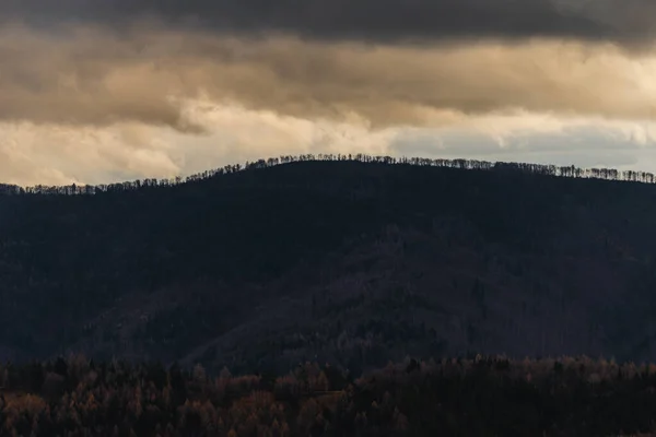 Photo Forest Silhouette Beautiful Blue Orange Sky Dusk Beskid Mountains — Stock Photo, Image