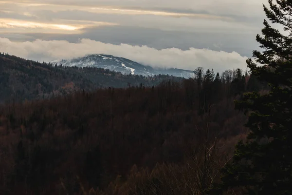 Bielsko Biala ポーランド 2022年1月4日 ポーランドのベスキディにあるSkrzyczne山のパノラマビュー Hrobacza Medowからの眺め — ストック写真