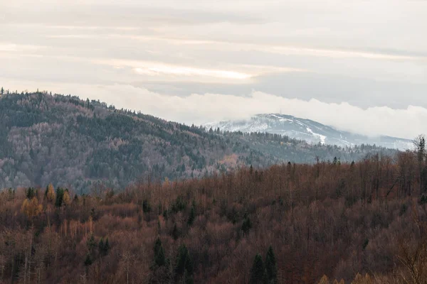 Bielsko Biala Polen Januari 2022 Panoramisch Uitzicht Skrzyczne Mountain Beskids — Stockfoto