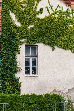 TAPOLCA, HUNGARY - 27 Ağustos 2021: Tapolca kasabasının merkezindeki eski kasaba binaları, Hungar