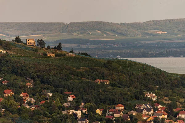 Badacsony 'deki Vineyard' ın fotoğrafı, Macaristan, Balaton Highland 'daki ünlü asma bölgesi. Asma tarlası hava görüntüsü.