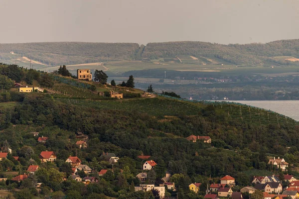 Badacsony 'deki Vineyard' ın fotoğrafı, Macaristan, Balaton Highland 'daki ünlü asma bölgesi. Asma tarlası hava görüntüsü.
