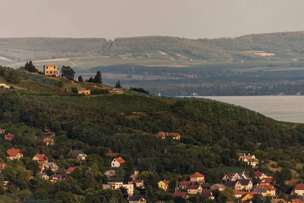 Badacsony 'deki Vineyard' ın fotoğrafı, Macaristan, Balaton Highland 'daki ünlü asma bölgesi. Asma tarlası hava görüntüsü.
