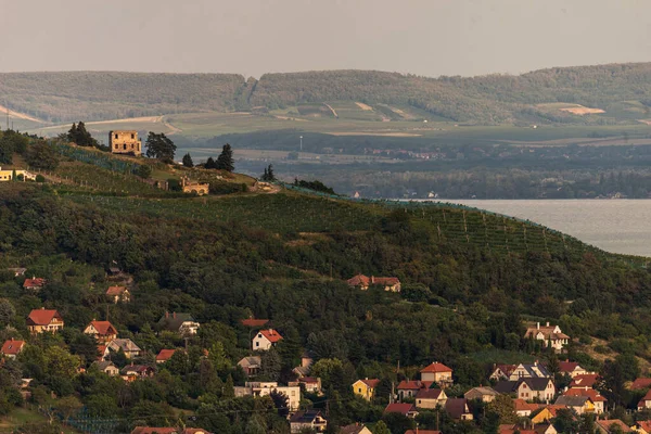 Foto Von Weinberg Badacsony Berühmte Weinregion Balaton Highland Ungarn Luftaufnahme — Stockfoto