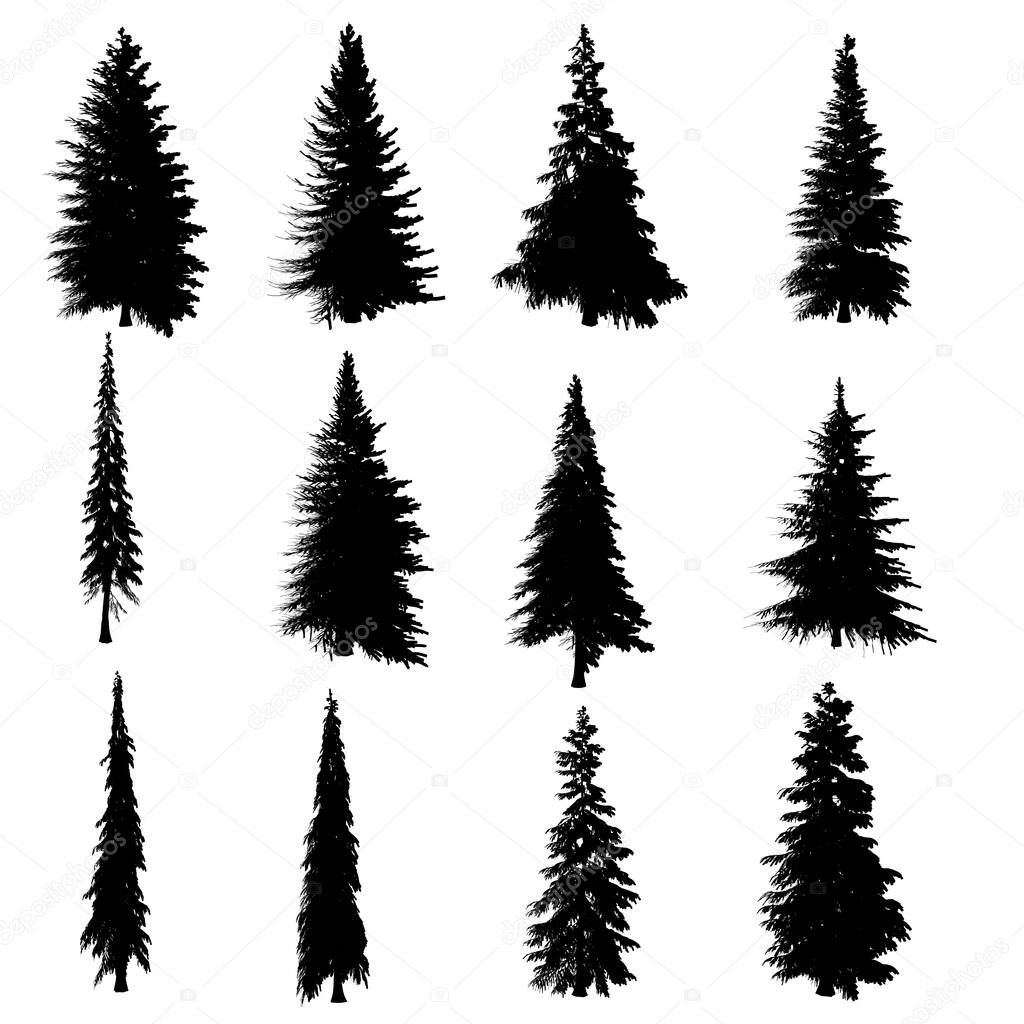 Set with silhouettes of trees isolated on white background. A set of Christmas trees of different shapes. Vector illustration.