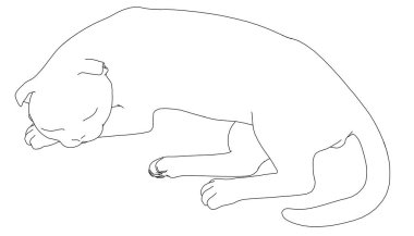 Beyaz arka planda izole edilmiş siyah çizgilerden uyuyan bir kedi. Vektör illüstrasyonu