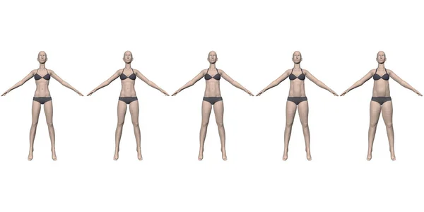 下着姿のモデル女子が次第に体重を増していく。痩せっぽちから太った女の子。3Dだ。ベクターイラスト — ストックベクタ