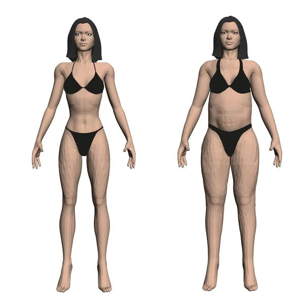 Duas modelos de cuecas, uma rapariga magra e gorda. O processo de obesidade do corpo da menina. Vista frontal. 3D. Ilustração vetorial — Vetor de Stock