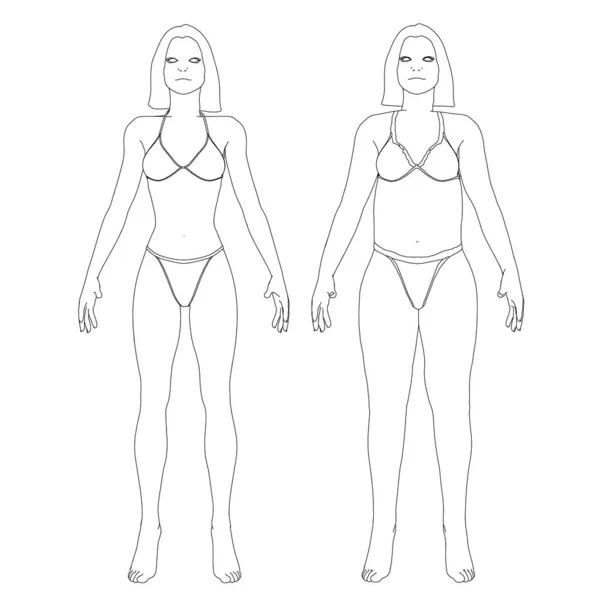 The contour of a girl in underwear, a slim and fat girl. The process of obesity of the girl body. Front view. Vector illustration — Stock Vector