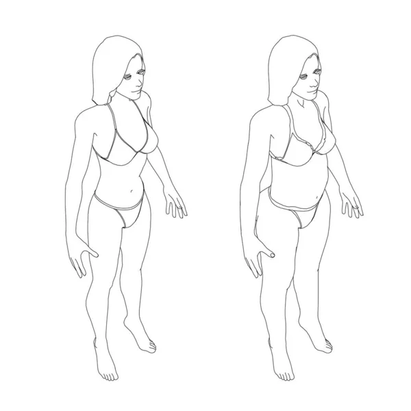 Egy fehérneműs lány kontúrja, egy vékony és kövér lányé. Az elhízás folyamata a lány testében. Izometrikus nézet. Vektorillusztráció — Stock Vector