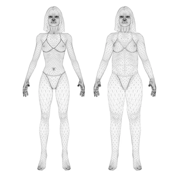 Zwei Modelle eines Drahtgestell-Mädchens in Unterwäsche, eines schlanken und dicken Mädchens. Der Prozess der Fettleibigkeit des Mädchenkörpers. Frontansicht. 3D. Vektorillustration — Stockvektor