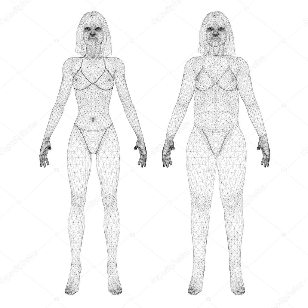 Two models of a wireframe girl in underwear, a slim and fat girl. The process of obesity of the girl body. Front view. 3D. Vector illustration