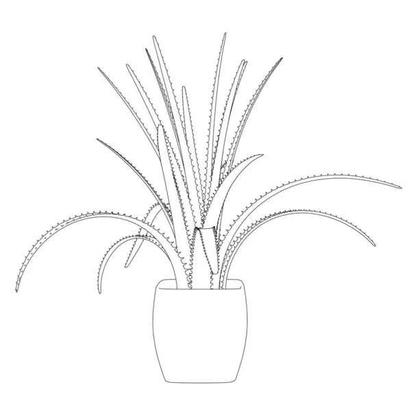 Contour λουλούδι αλόης σε μια κατσαρόλα που απομονώνονται σε λευκό φόντο. Μπροστά. Εικονογράφηση διανύσματος — Διανυσματικό Αρχείο