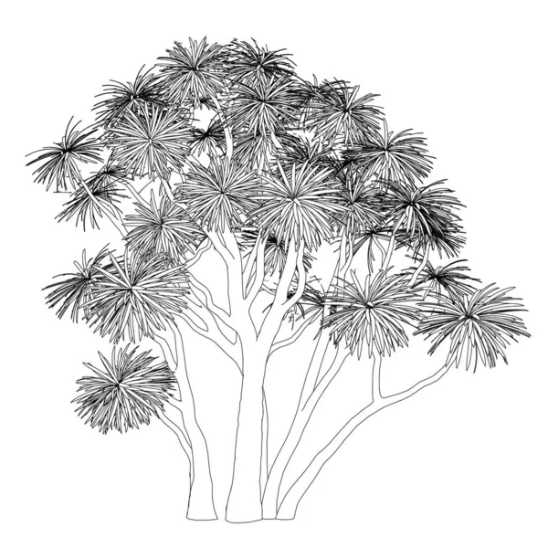Esboço de uma árvore de linhas pretas isoladas em um contexto branco. 3D. Ilustração vetorial — Vetor de Stock